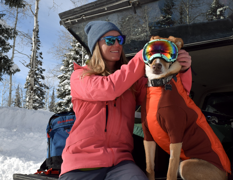 Skiing with your dog