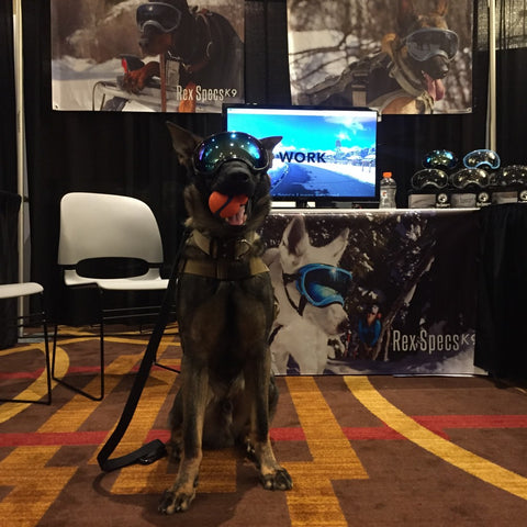 k9 cop nashville conference tn usual foster sharp gunner follow look