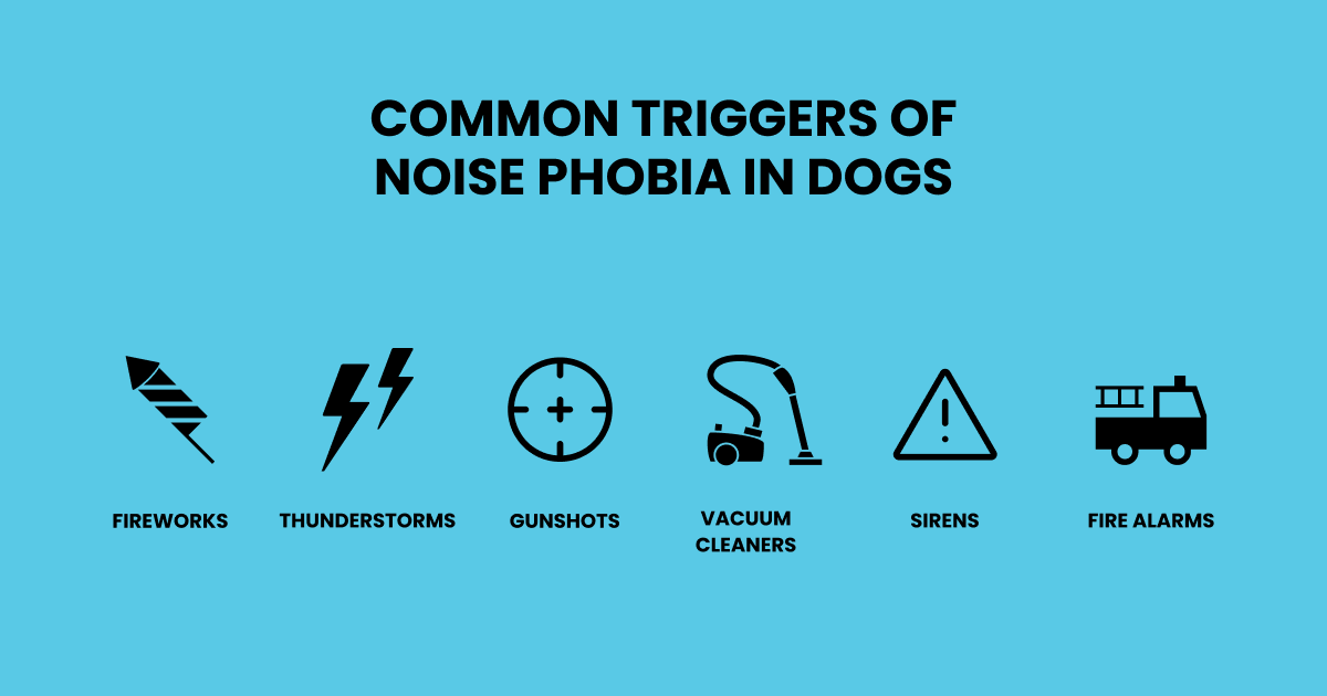 Common triggers of noise phobia in dogs