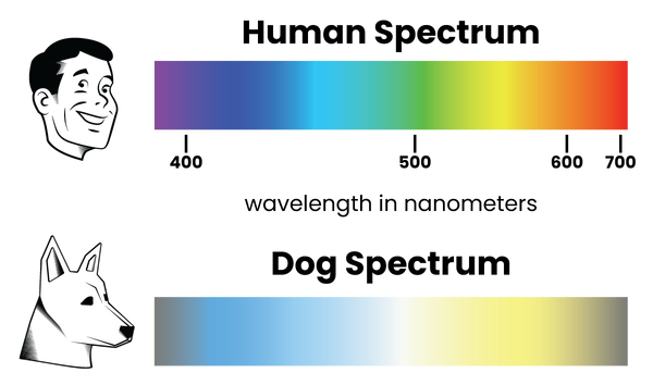 Dog vision color spectrum