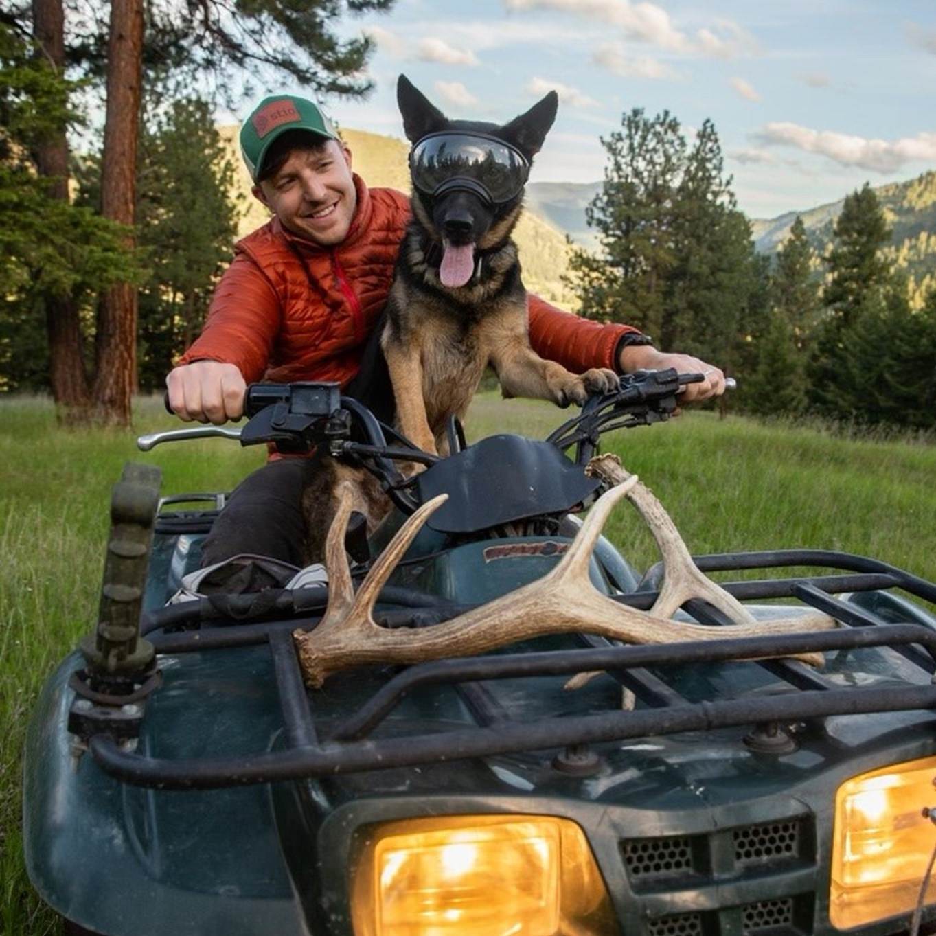 Dog riding ATV with Goggles