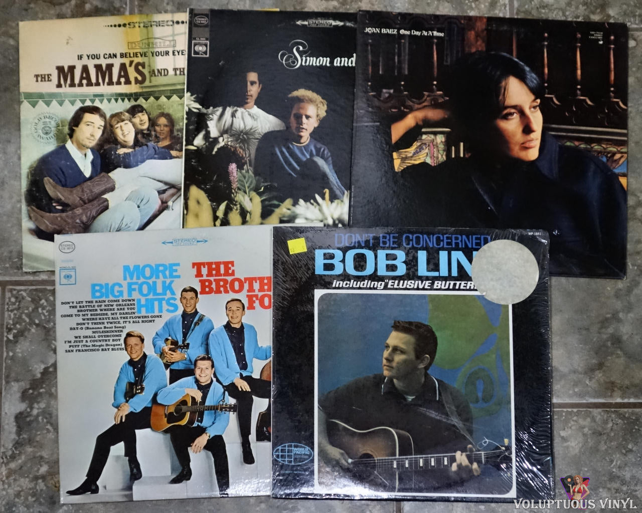 Folk Rock Bundle Lot (11 Items)