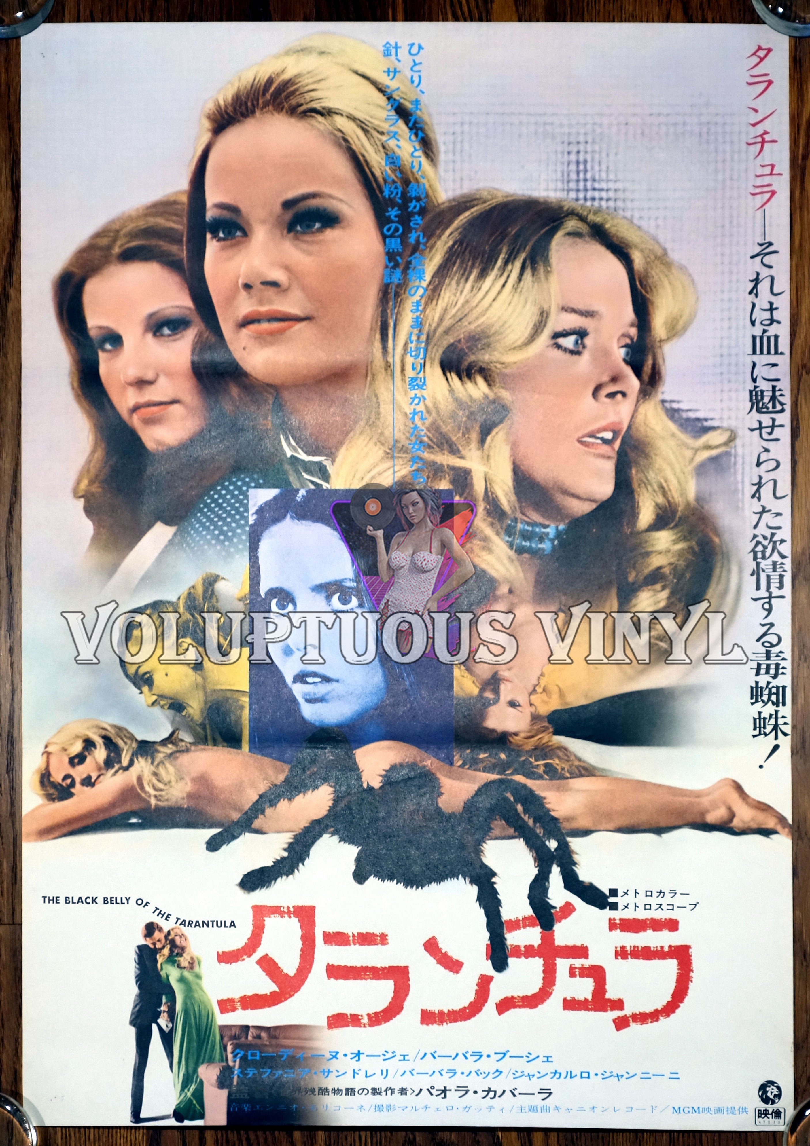 Black Belly Of The Tarantula 1972 Japanese B2 Barbara Bouchet Voluptuous Vinyl Records