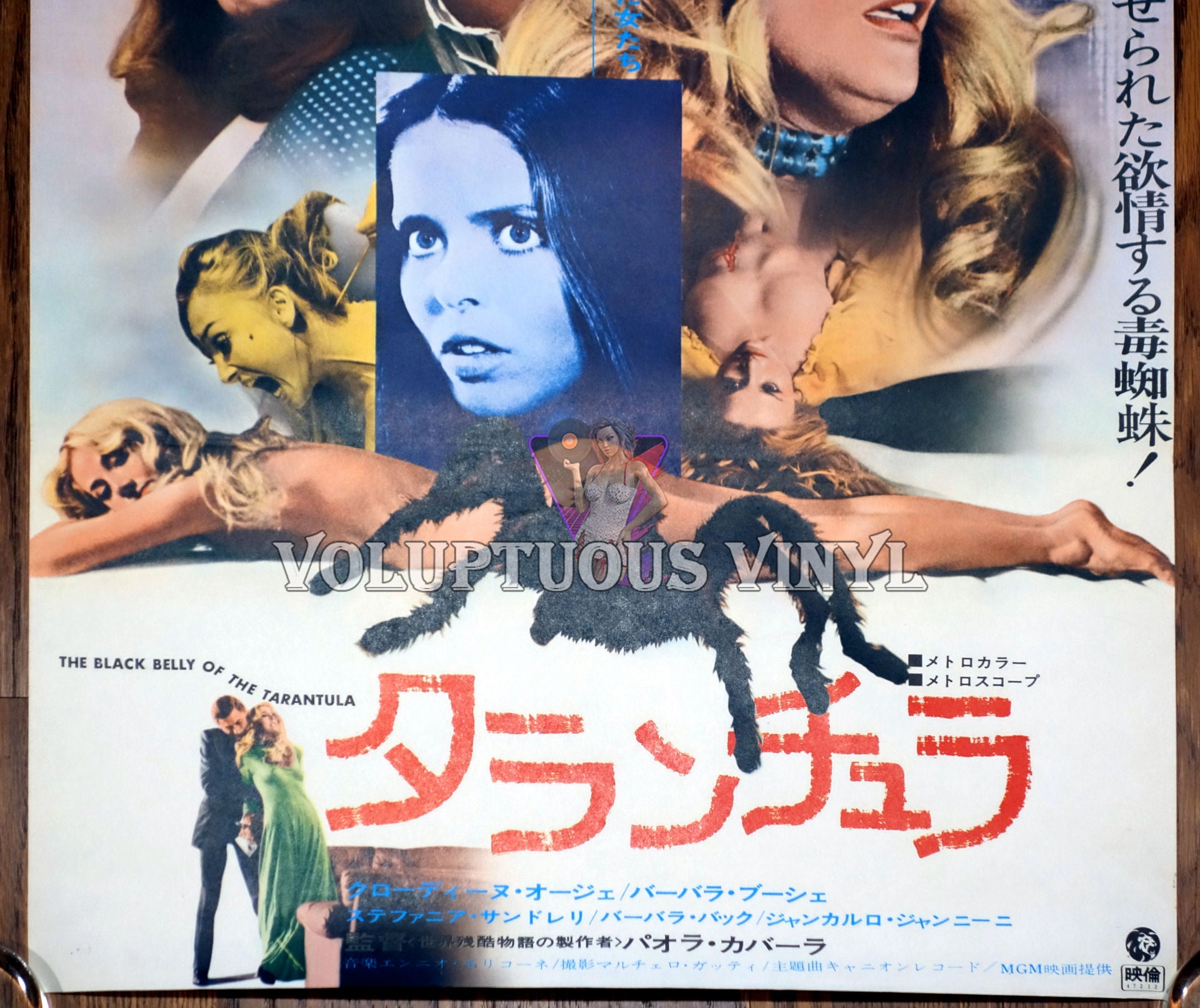 バルバラ ブーシェ Barbara Bouchet Japaneseclass Jp