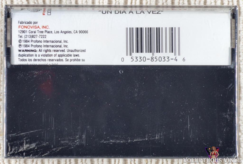 Los Tigres Del Norte Un Dia A La Vez 1984 Cassette Album Stereo Voluptuous Vinyl Records 6127