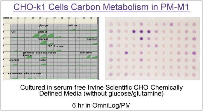 Phenotype MicroArrays for Mammalian Cells