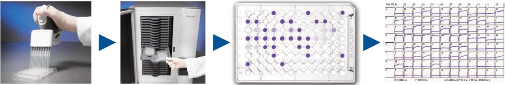 Mitochondrial Function Assays with MitoPlates