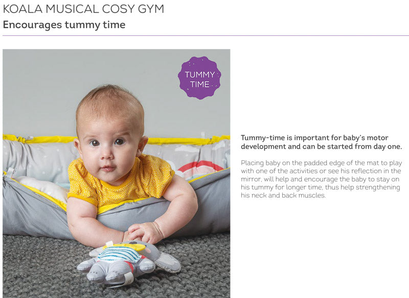 Taf Toys Koala Musical Newborn Cosy Gym