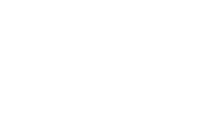 Foxy Flamingo Boutique