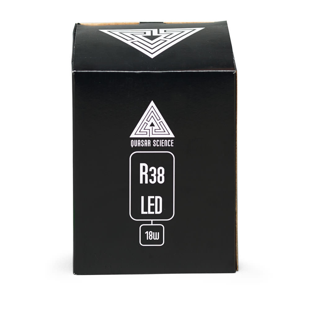 r38 bulb