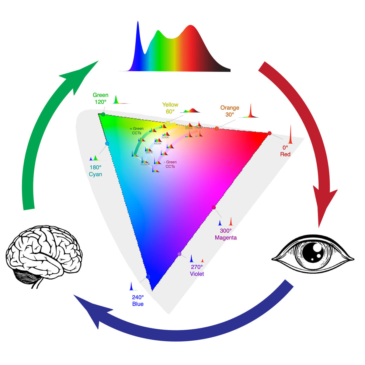 Rainbow 2 – Quasar Science