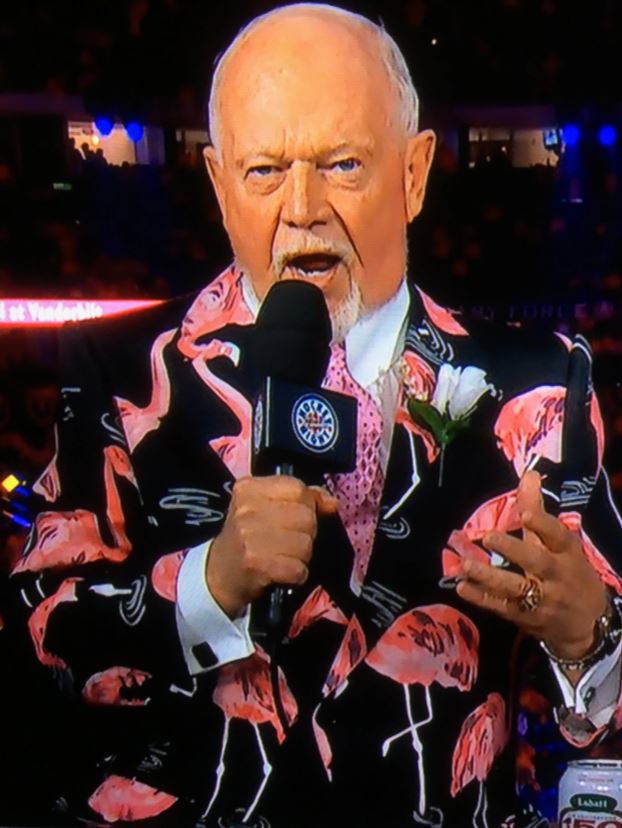  Don Cherry Flamingo Print On Air Worn Jacket Ensemble 