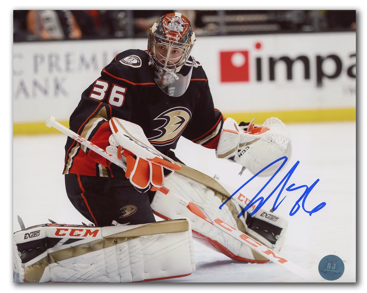  John Gibson Anaheim Ducks Autographed Goalie Action 8x10 Photo 