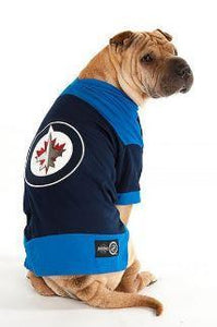 Dallas Stars NHL Dog Sweater– Togpetwear