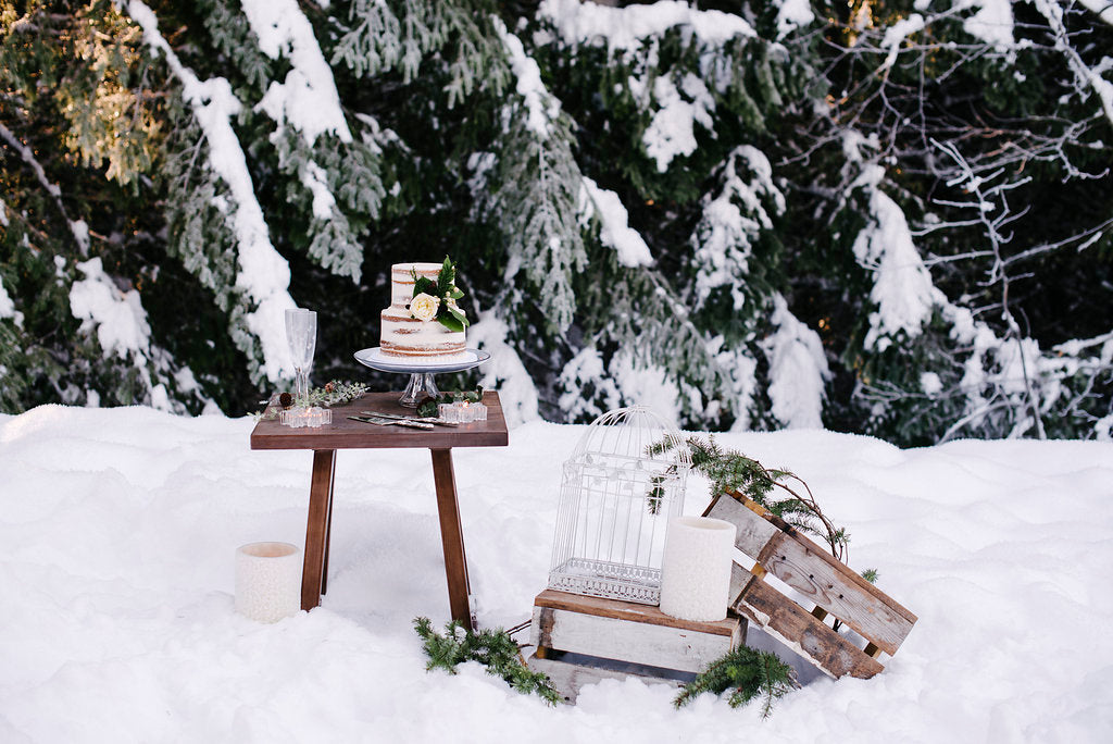 snow wedding inspiration 