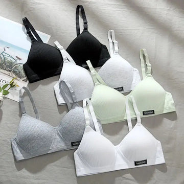Bras dropshipping Products