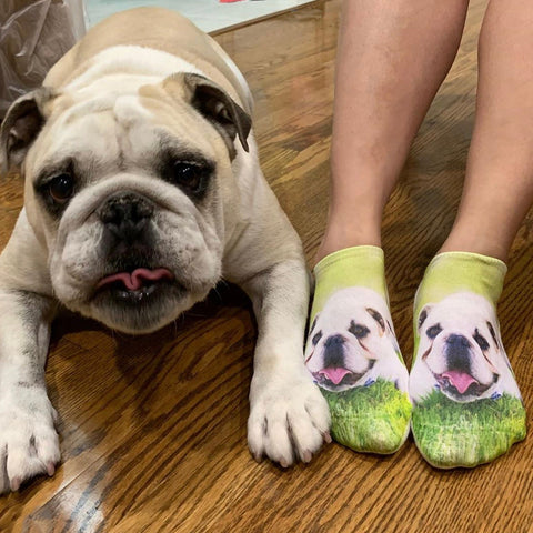 Dog photo socks with actual dog next to them for comparison