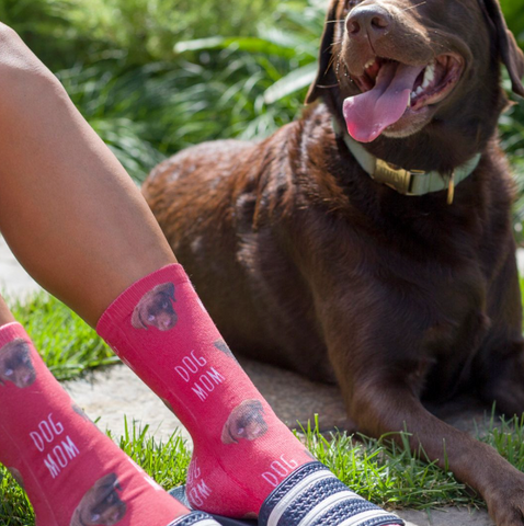 Woman wearing bright pink socks with her dog's face specially printed on them, sitting next to her dog outside on the grass