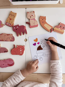 QToys Australia (USA) Cat play set & col ...