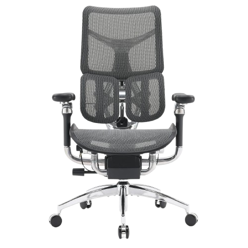 Fauteuil de bureau ergonomique Sihoo Doro S300