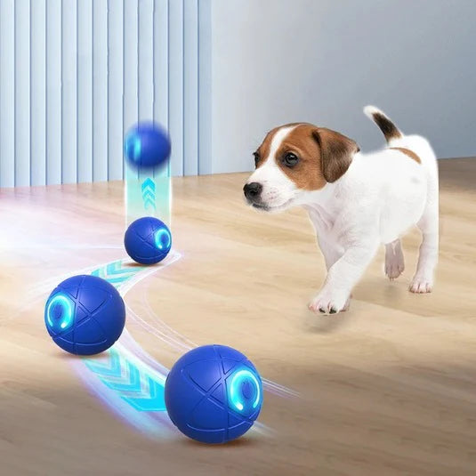 WoofVibe Versatile Design