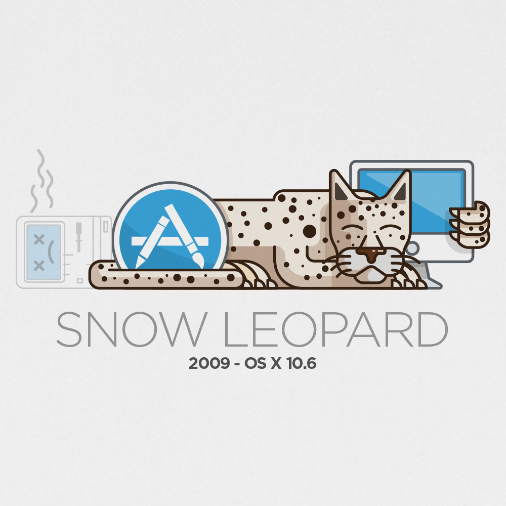 windows for mac snow leopard