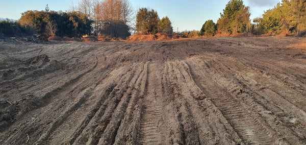 Greening Taupo Planting Site