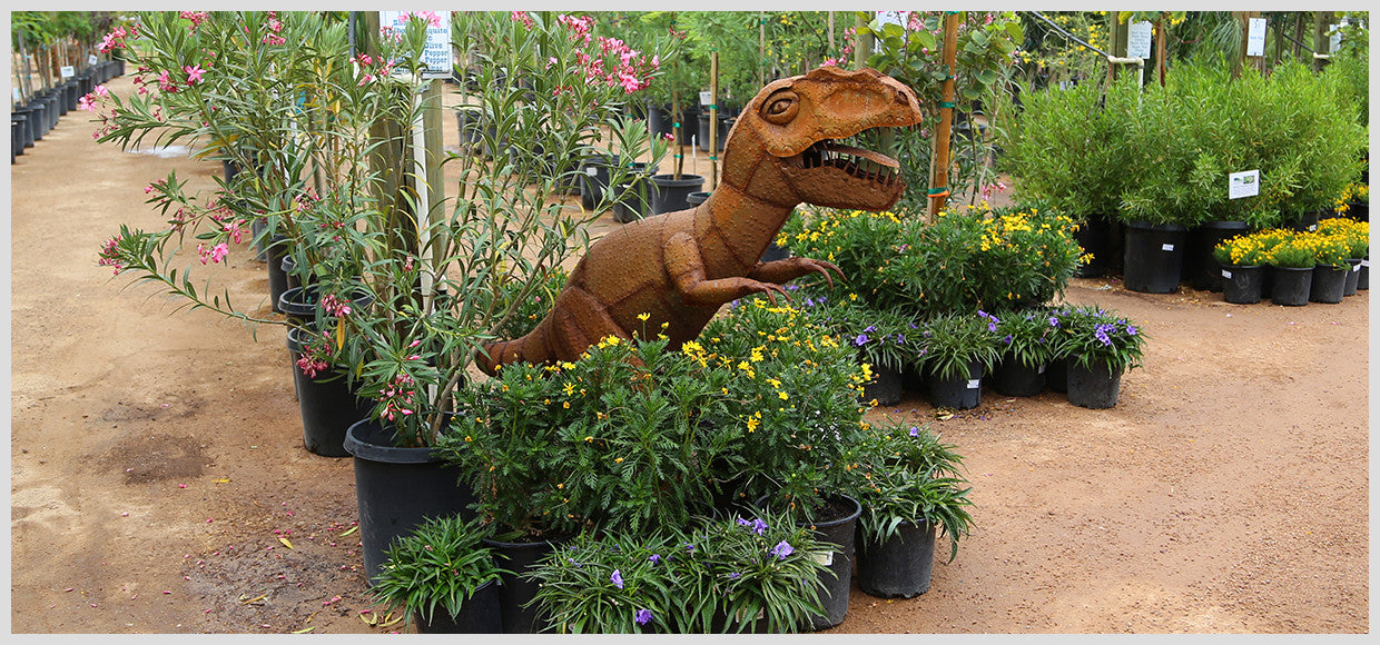 Desert Horizon Nursery Metal Allosaurus