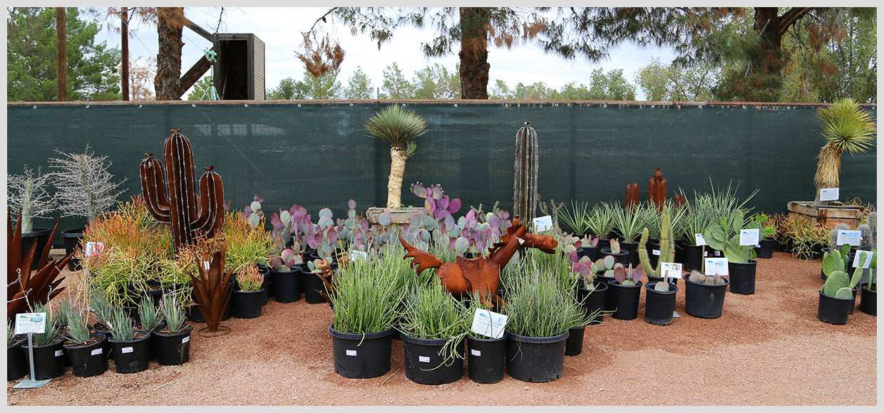 Desert Horizon Nursery Shade Panel and Metal Horse and Plants