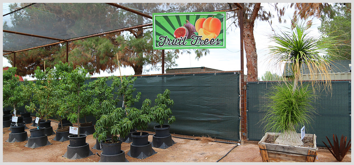 Desert Horizon Nursery Shade Panel and Fruit Trees