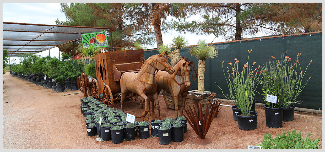 Desert Horizon Nursery Shade Panel and Metal Horse-Drawn Carriage