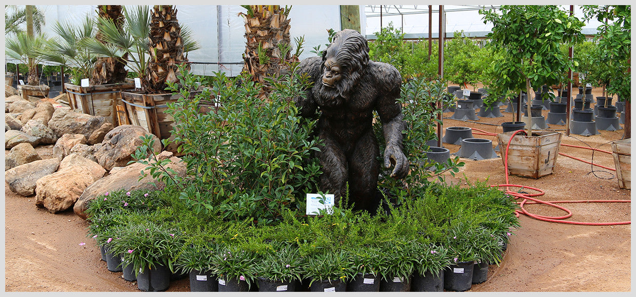 Desert Horizon Nursery Metal Sasquatch