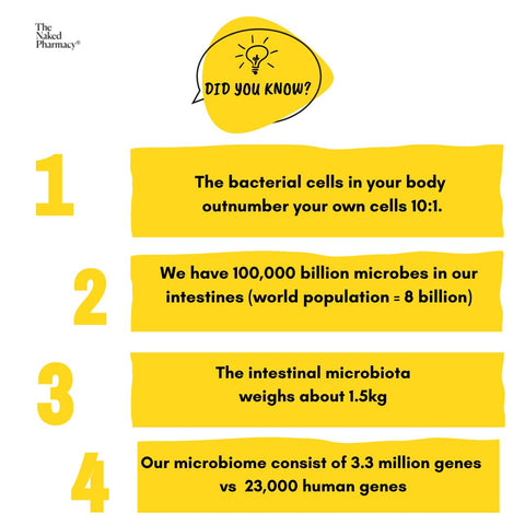 4 Facts about the Gut