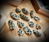 Dalmatian Jasper Tumbled Stone ~ Sold Individually