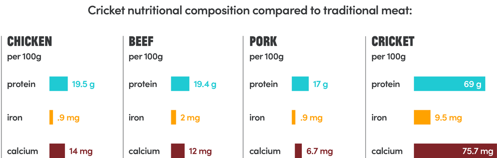 nutrition2_1024x1024.png?v=1550022022