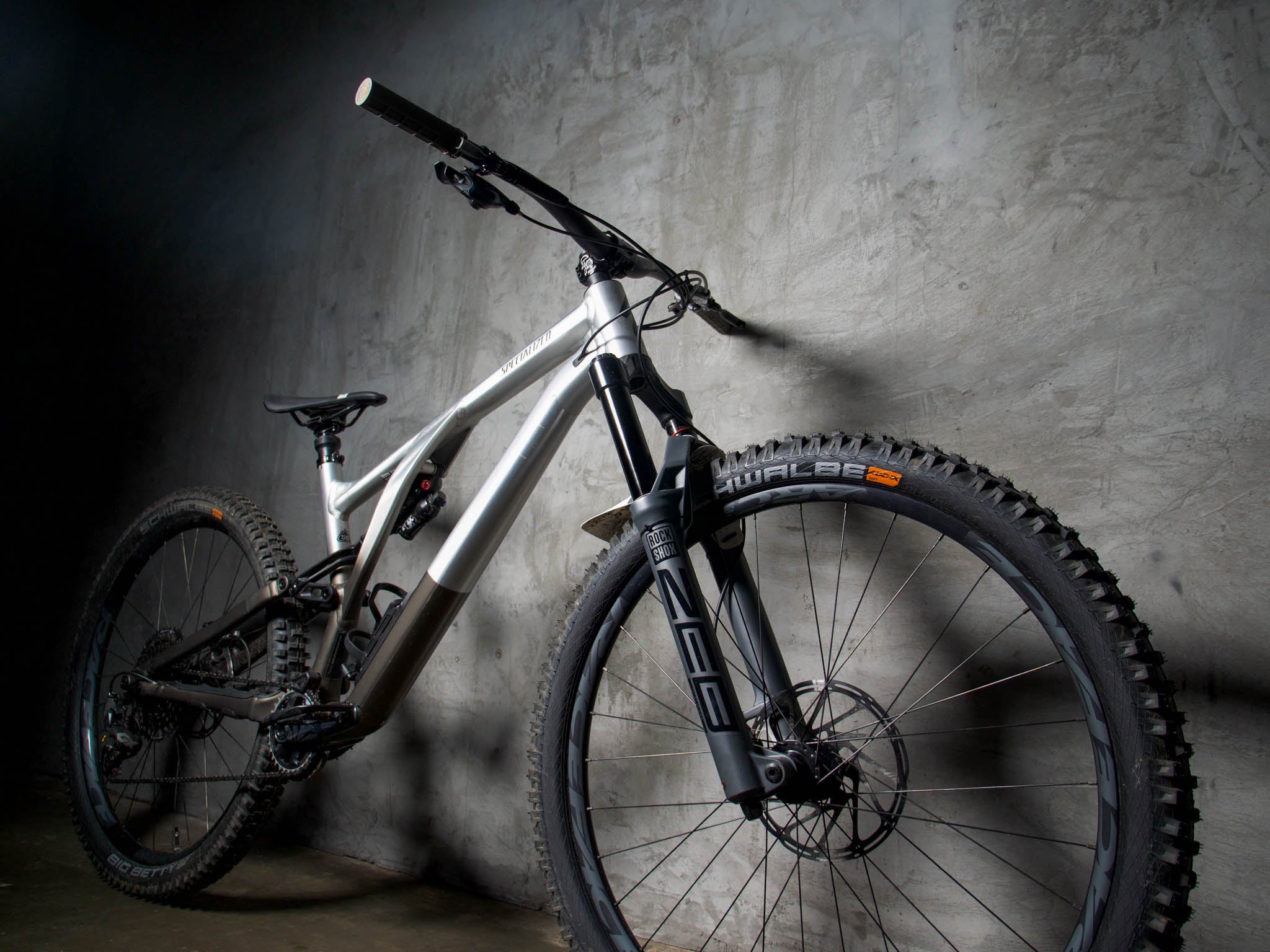 A custom Specialized Stumpjumper Evo Alloy