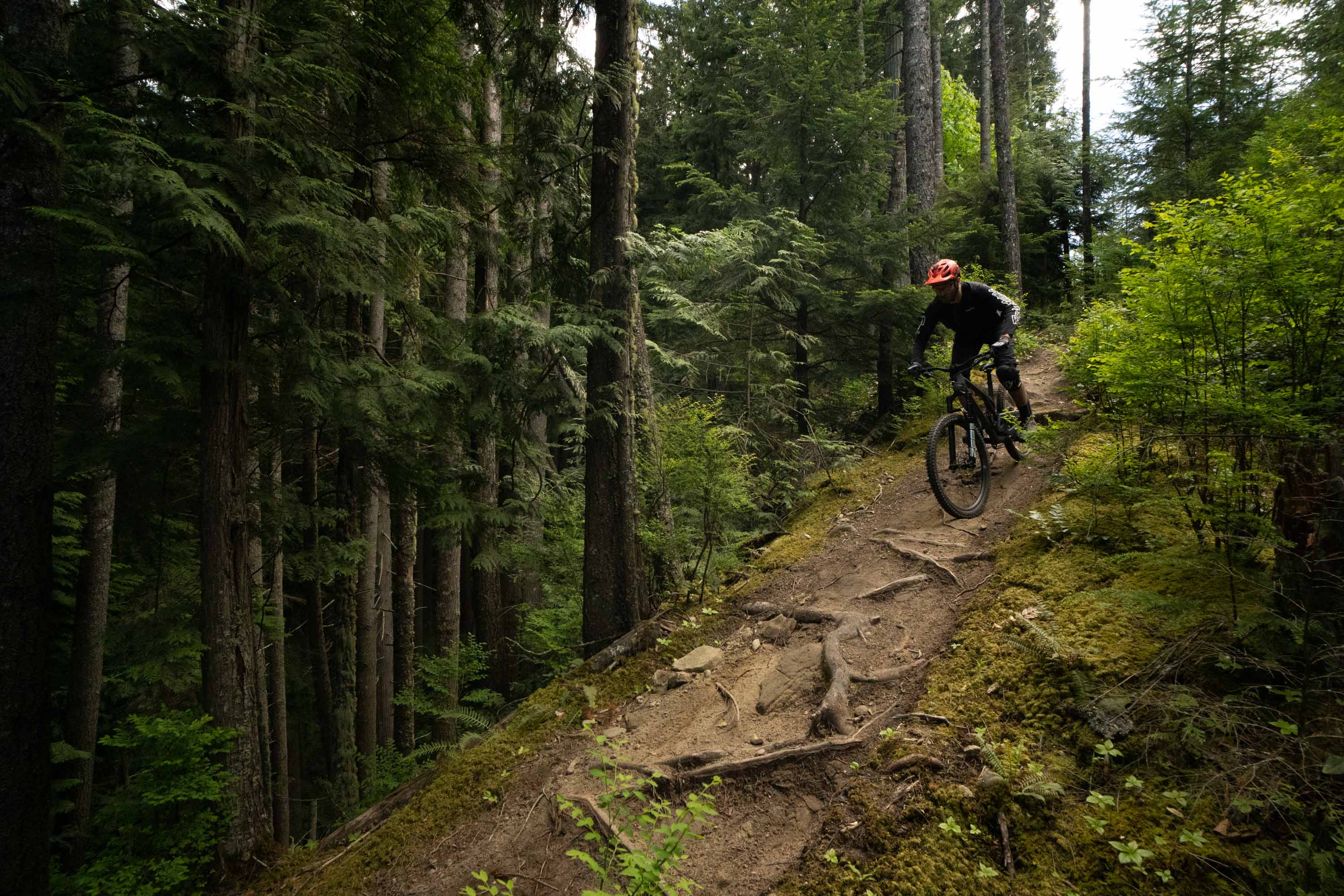 Floating over roots on the Insurgent MX