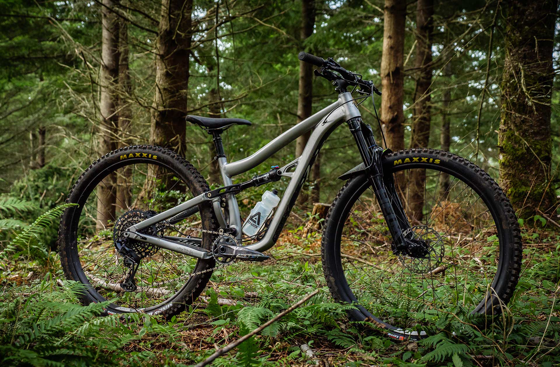 ibis ripley 2020 review