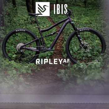 All new Ripley AF's are In Stock at Fanatik!