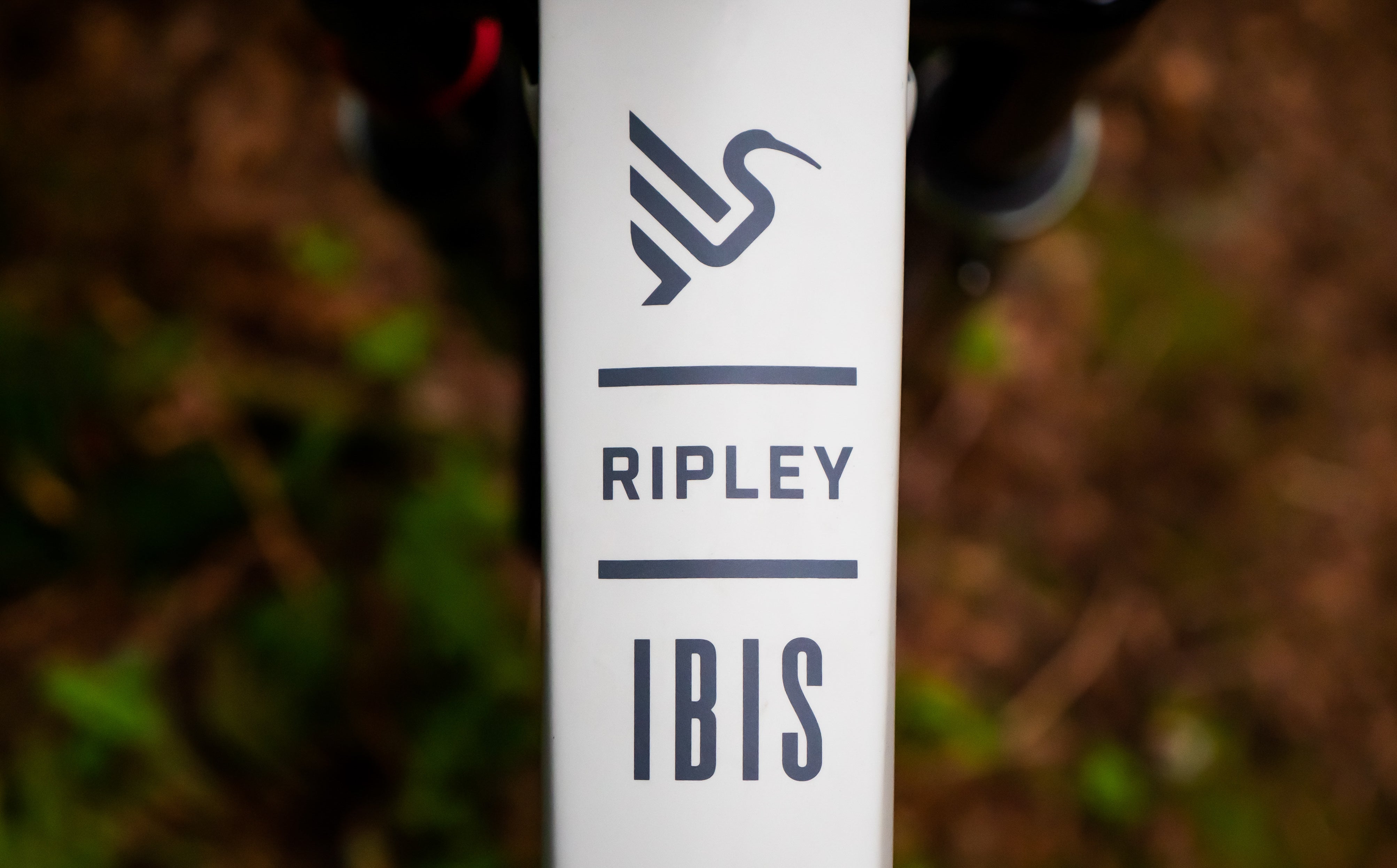 Ibis Ripley V4S Updates Differences Comparison Review