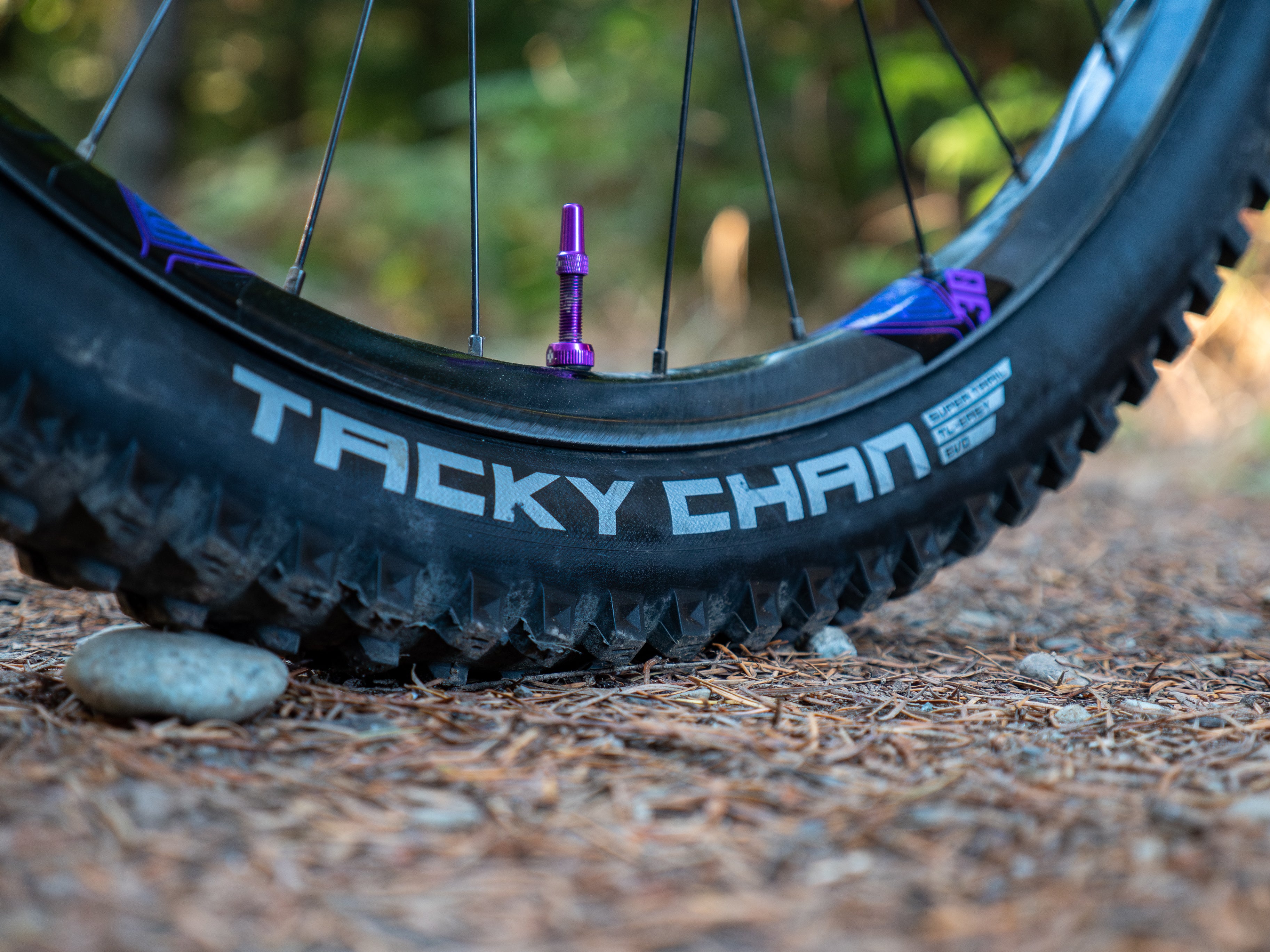 Is the Tacky Chan a good tire?