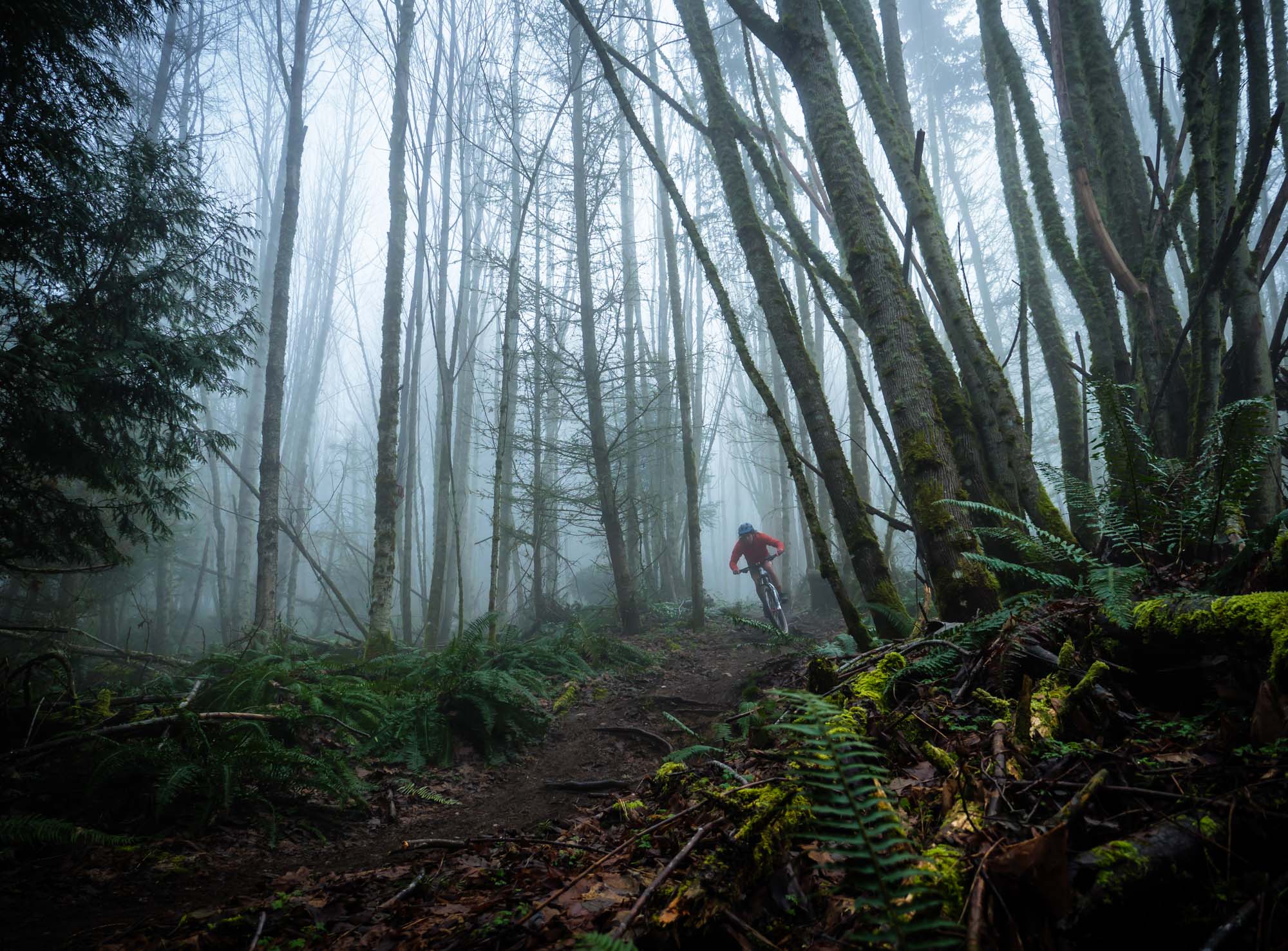 Joey dipping through the woods aboard his Stumpy EVO Alloy on a deep, dank day.