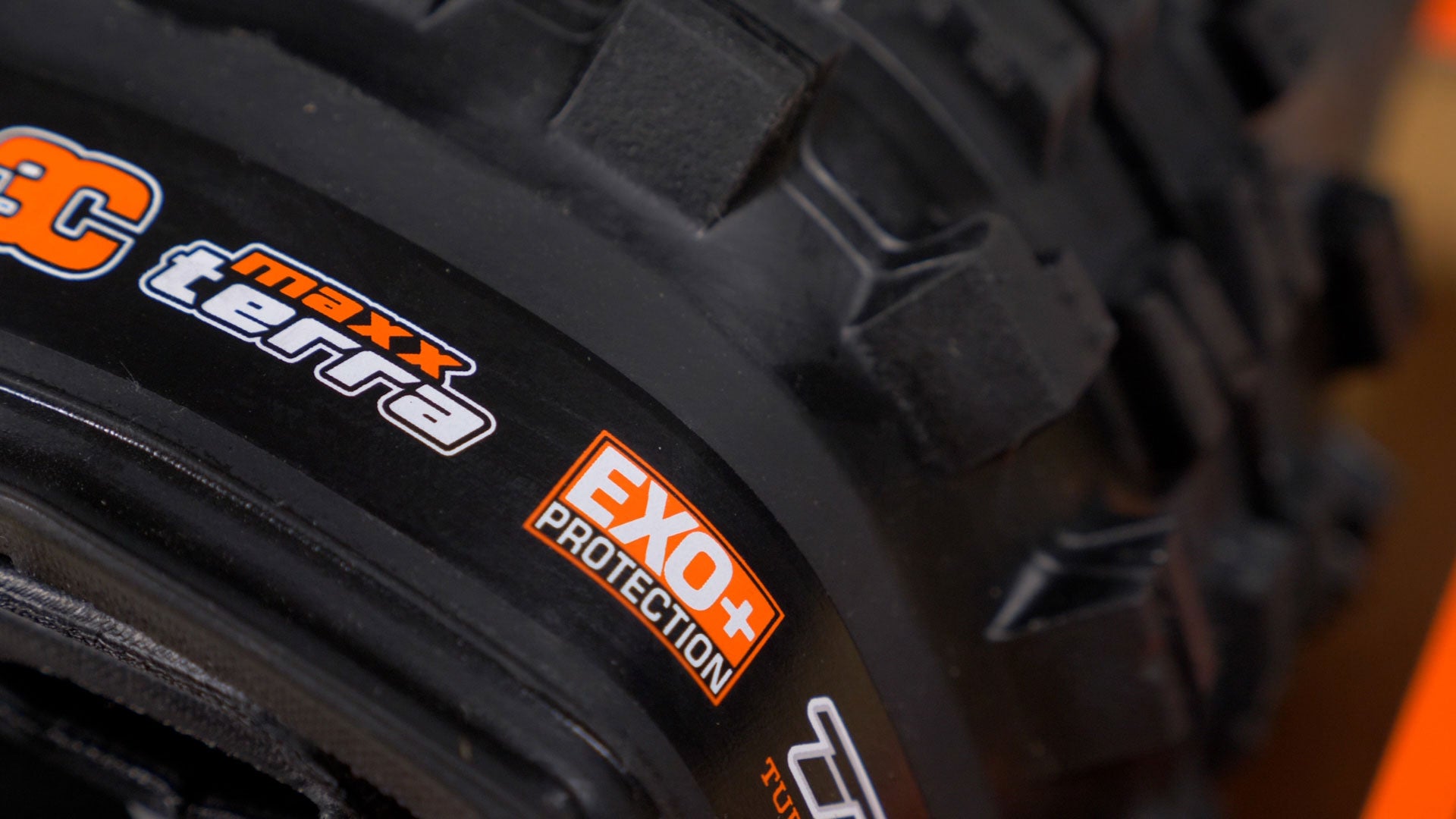 Maxxis EXO+ Tire Casing