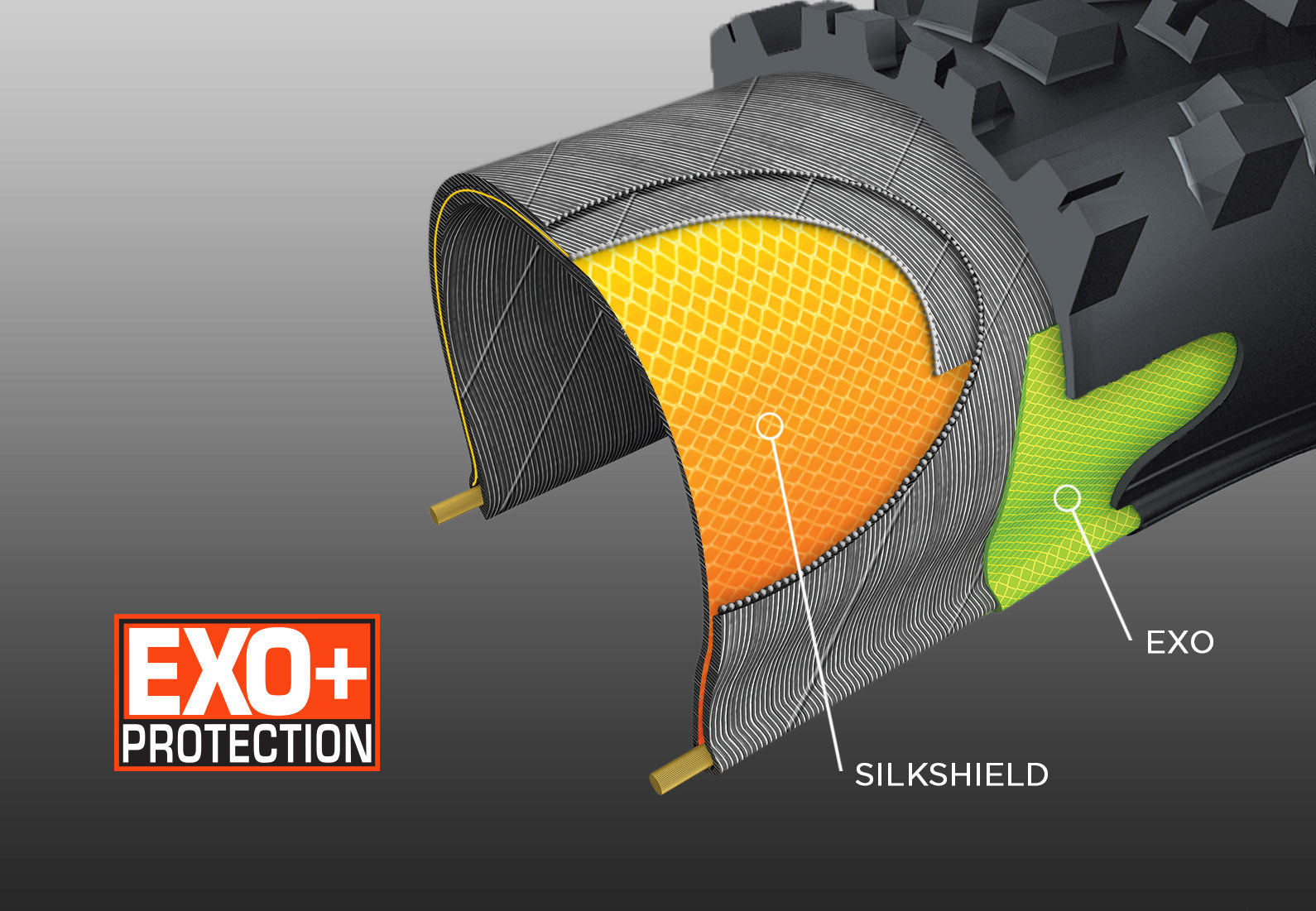 Maxxis EXO+ casing uses their Silkshield layer for added tear protection