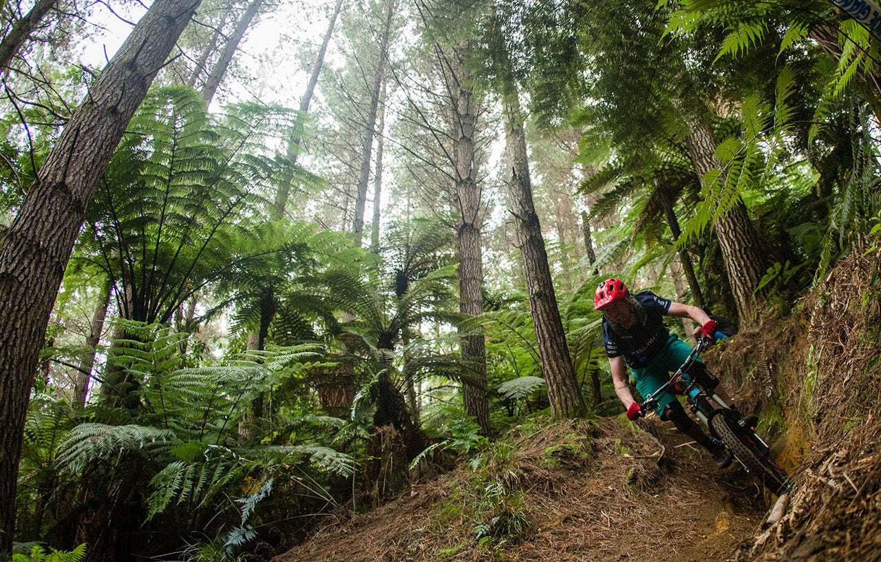 Ibis Cycles - Mojo HD3