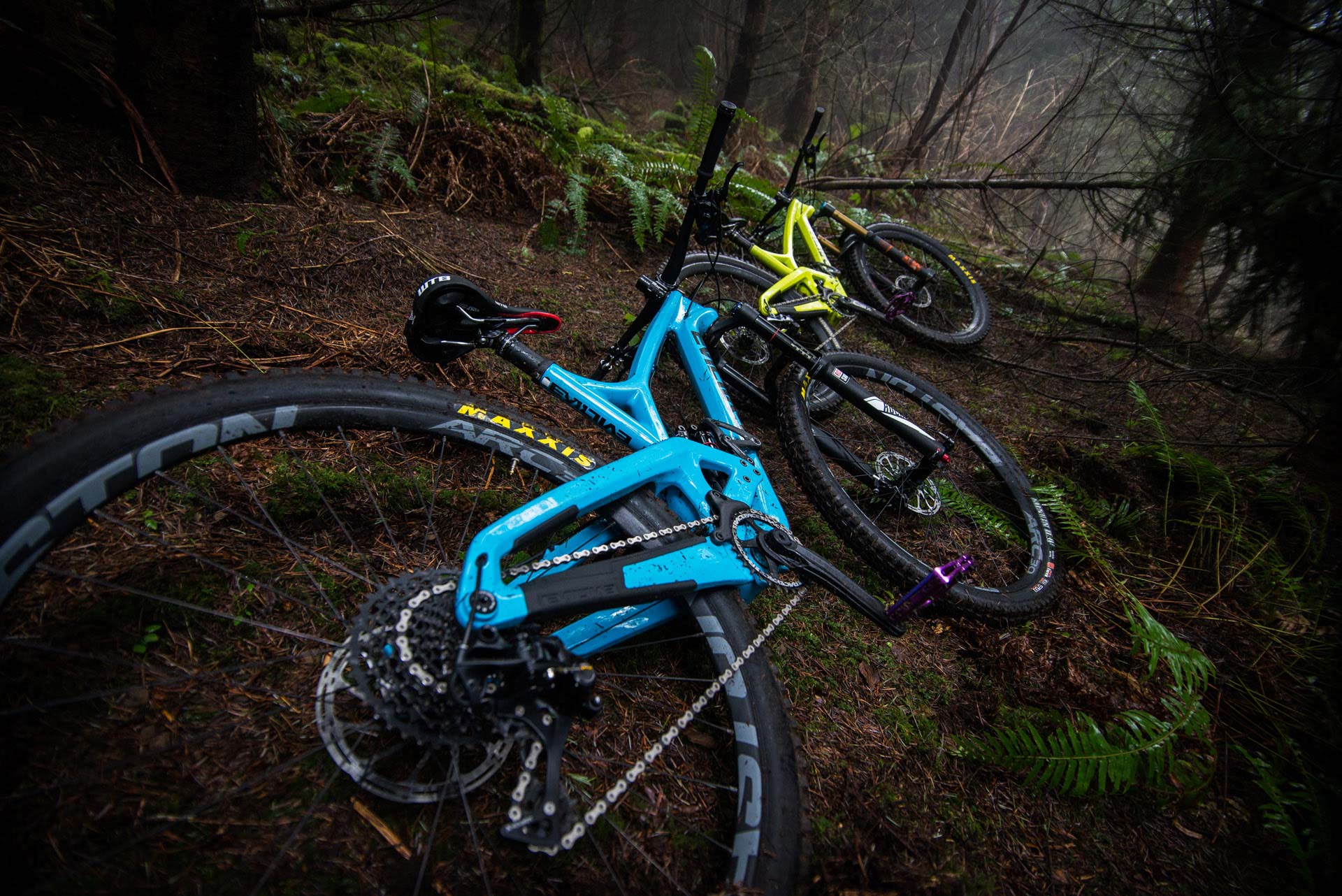 The Wreckoning in Megaladon Blue and the Insurgent in Slimeball Yellow, lounging in their natural habitat.