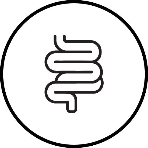 Spijsvertering