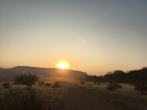 Ranthambore National Park India Safari sunset yoga