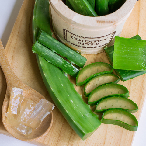 Aloe vera natural remedy to soothe skin rash chafing 