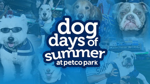 Dog Days of Summer at Petco Park